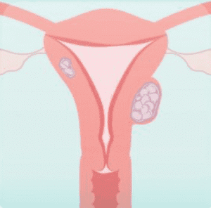 screenshot 2025 10 30 at 10.06.33