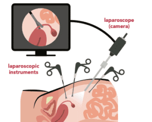 screenshot 2025 10 30 at 10.45.07