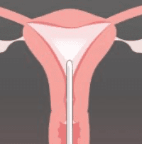 screenshot 2025 10 30 at 10.45.42