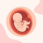 screenshot 2025 10 30 at 11.15.57